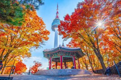 Korea Luxury · 5D4N