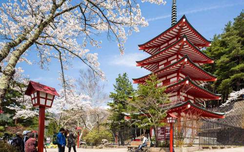 Japan 7 days